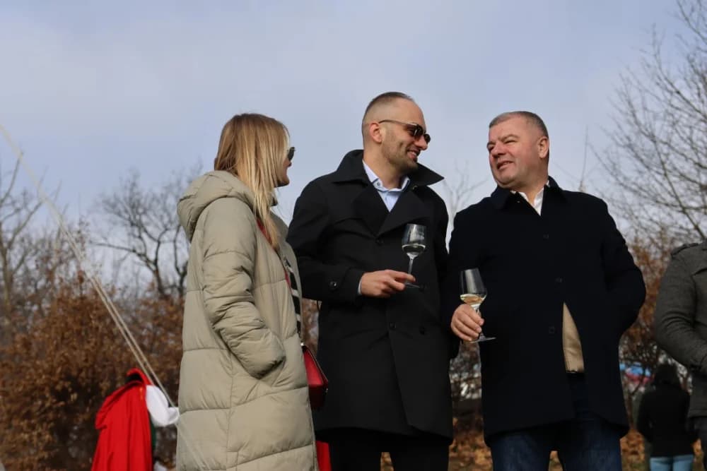 Orezani prvi trsovi u vinogradima Kutjeva d.d.
