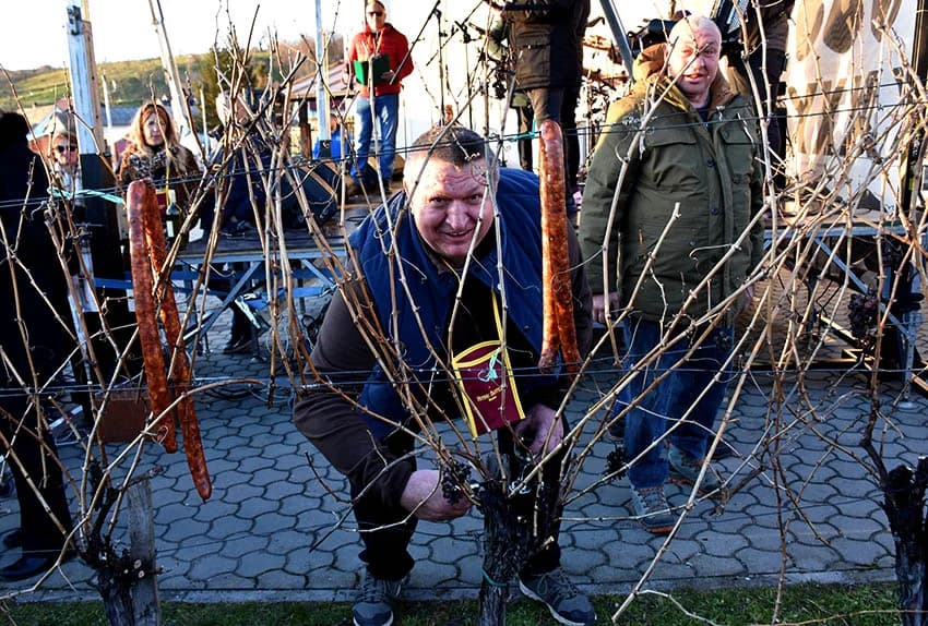 VETOVAČKO VINCELOVO: Uz orezano trsje, odabrana vina i domaće delicije Ivan Štivić i tamburaši razveselili stotine posjetitelja