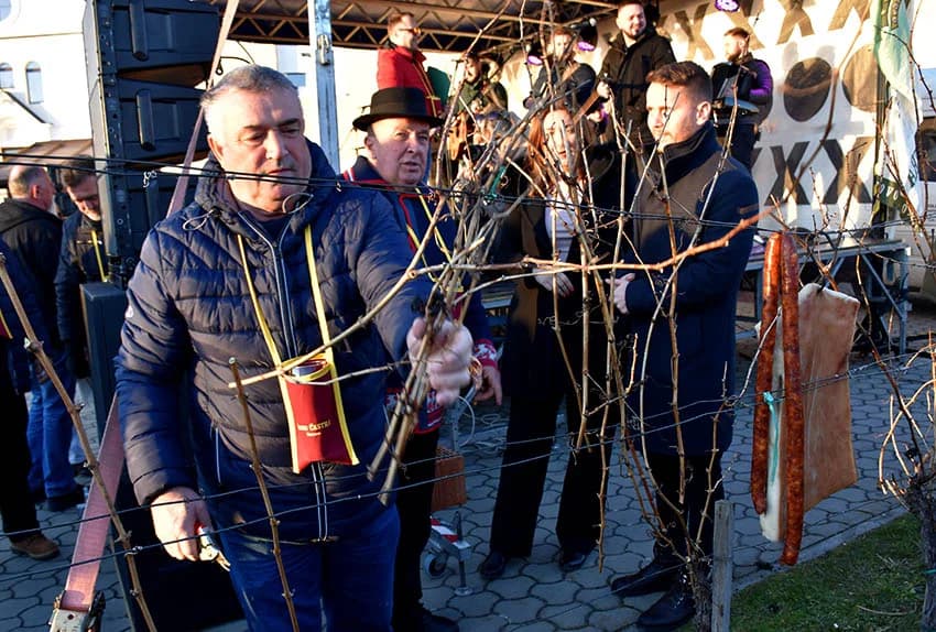 VETOVAČKO VINCELOVO: Uz orezano trsje, odabrana vina i domaće delicije Ivan Štivić i tamburaši razveselili stotine posjetitelja