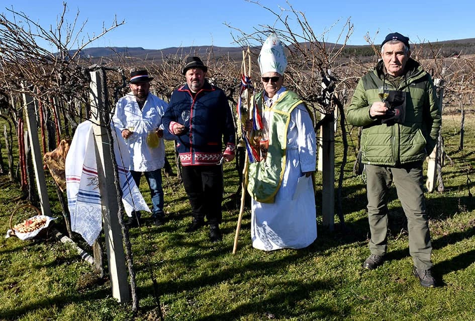 I TO SE DOGODILO U UDRUZI „VINO-KAP“ IZ KAPTOLA: Dugogodišnji predsjednik Novak postao napokon i vinogradar