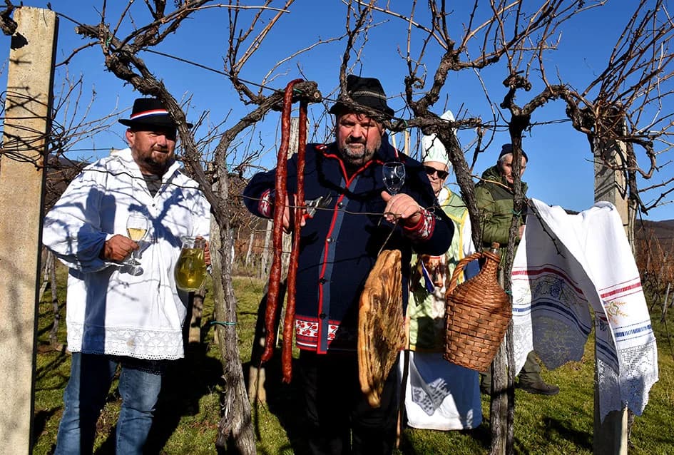 I TO SE DOGODILO U UDRUZI „VINO-KAP“ IZ KAPTOLA: Dugogodišnji predsjednik Novak postao napokon i vinogradar
