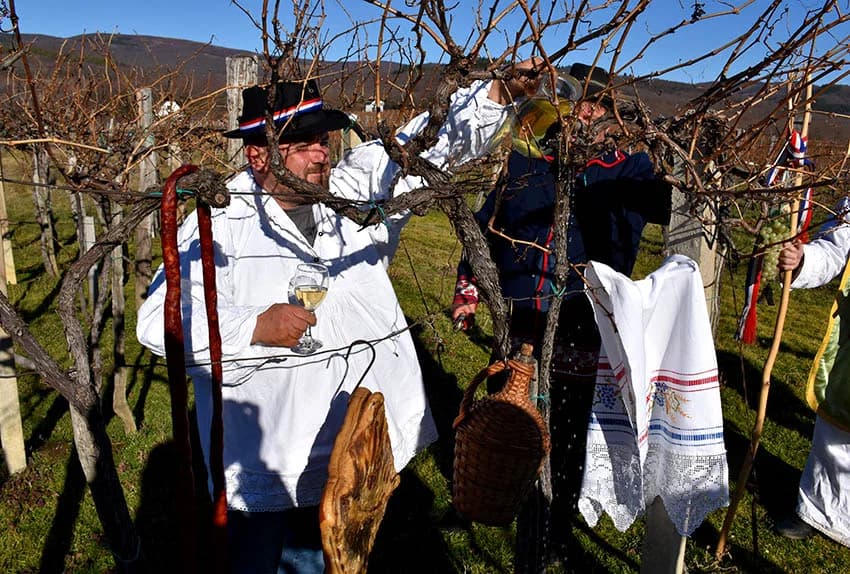 I TO SE DOGODILO U UDRUZI „VINO-KAP“ IZ KAPTOLA: Dugogodišnji predsjednik Novak postao napokon i vinogradar