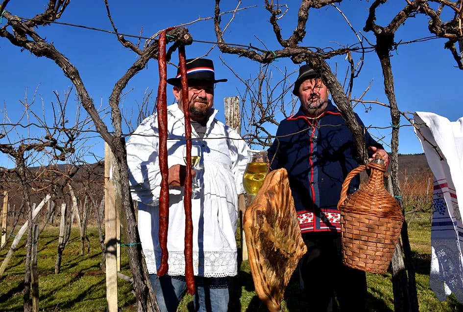 I TO SE DOGODILO U UDRUZI „VINO-KAP“ IZ KAPTOLA: Dugogodišnji predsjednik Novak postao napokon i vinogradar