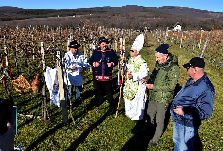 I TO SE DOGODILO U UDRUZI „VINO-KAP“ IZ KAPTOLA: Dugogodišnji predsjednik Novak postao napokon i vinogradar