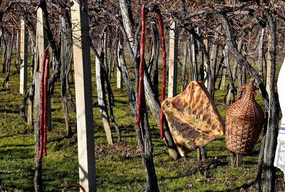 I TO SE DOGODILO U UDRUZI „VINO-KAP“ IZ KAPTOLA: Dugogodišnji predsjednik Novak postao napokon i vinogradar