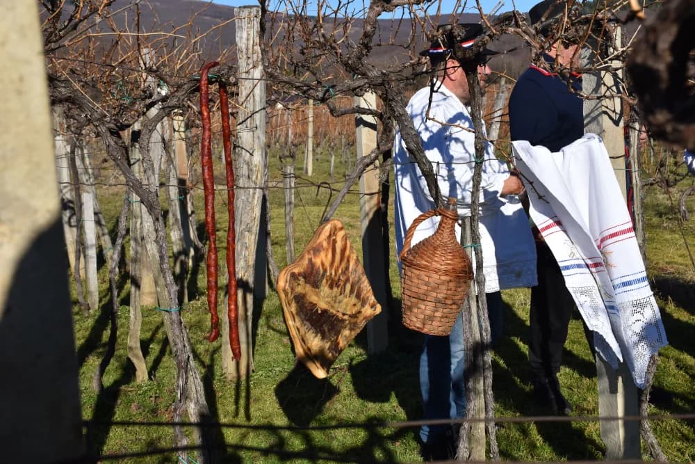 I TO SE DOGODILO U UDRUZI „VINO-KAP“ IZ KAPTOLA: Dugogodišnji predsjednik Novak postao napokon i vinogradar