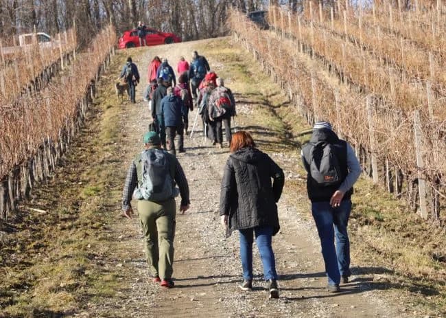 /FOTOGALERIJA/ Zimski vincelovski pohod do Starca i Viškovačkog grada