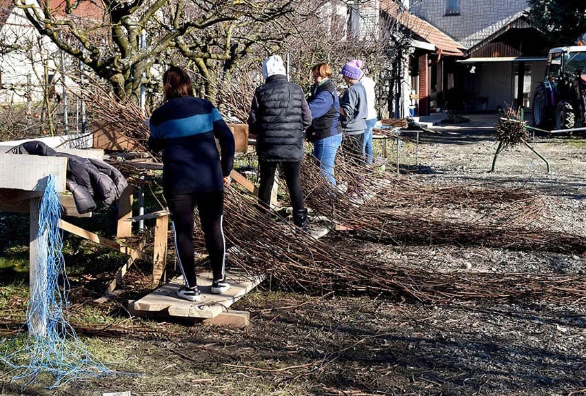 TVRTKA LOZNI CIJEPOVI CENBAUER IZ KUTJEVA: Loze za mnoge tipova tla i klimatske uvijete