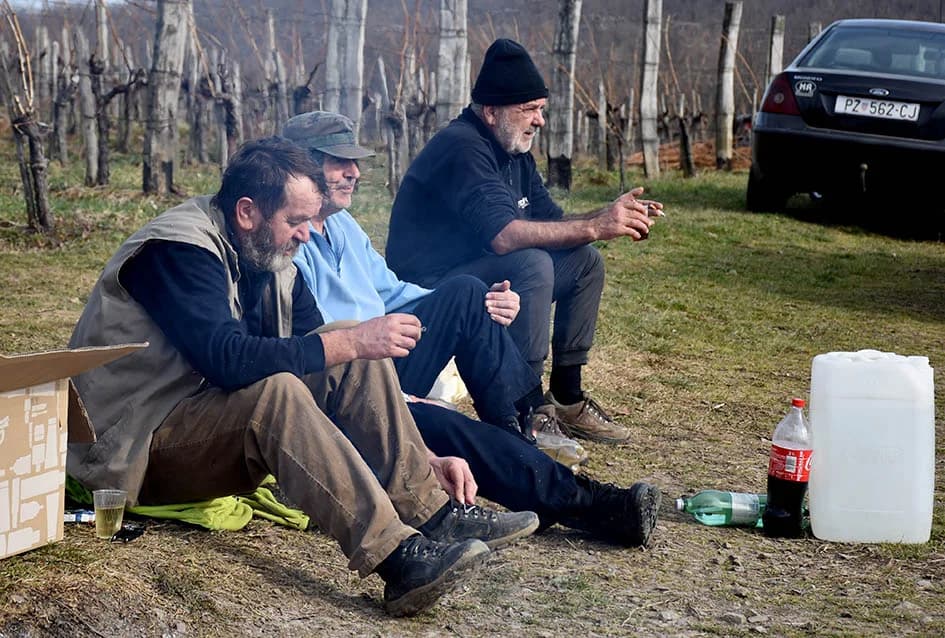 POČELA REZIDBA VINOGRADA DRAGE MAJSTOROVIĆA U KUTJEVU: Prijatelji priskočili u pomoć