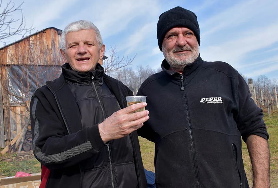 POČELA REZIDBA VINOGRADA DRAGE MAJSTOROVIĆA U KUTJEVU: Prijatelji priskočili u pomoć