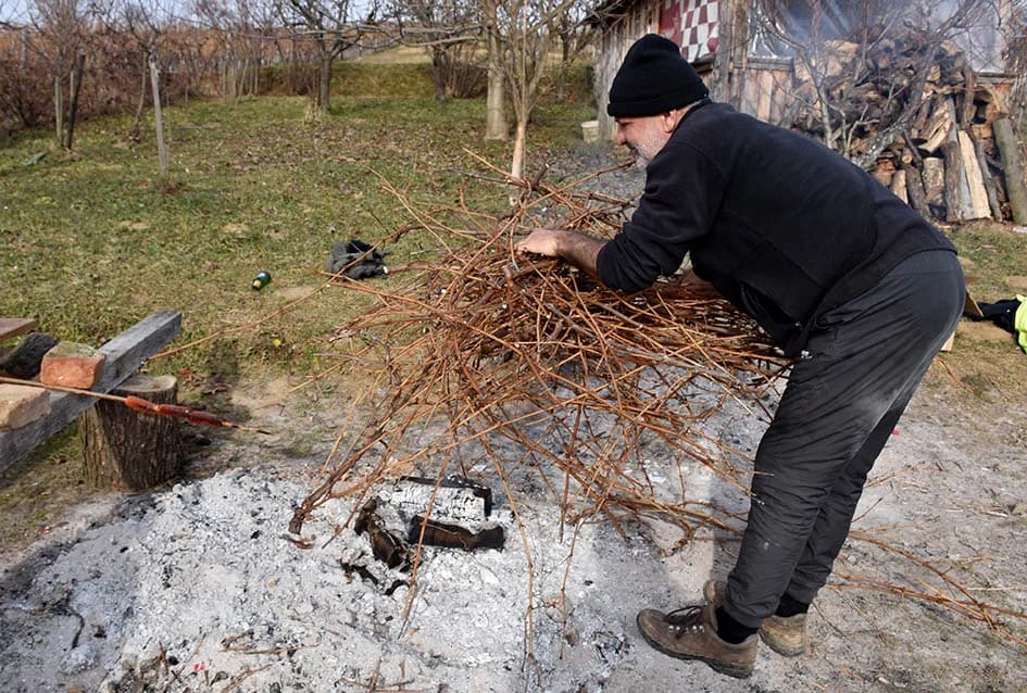 POČELA REZIDBA VINOGRADA DRAGE MAJSTOROVIĆA U KUTJEVU: Prijatelji priskočili u pomoć