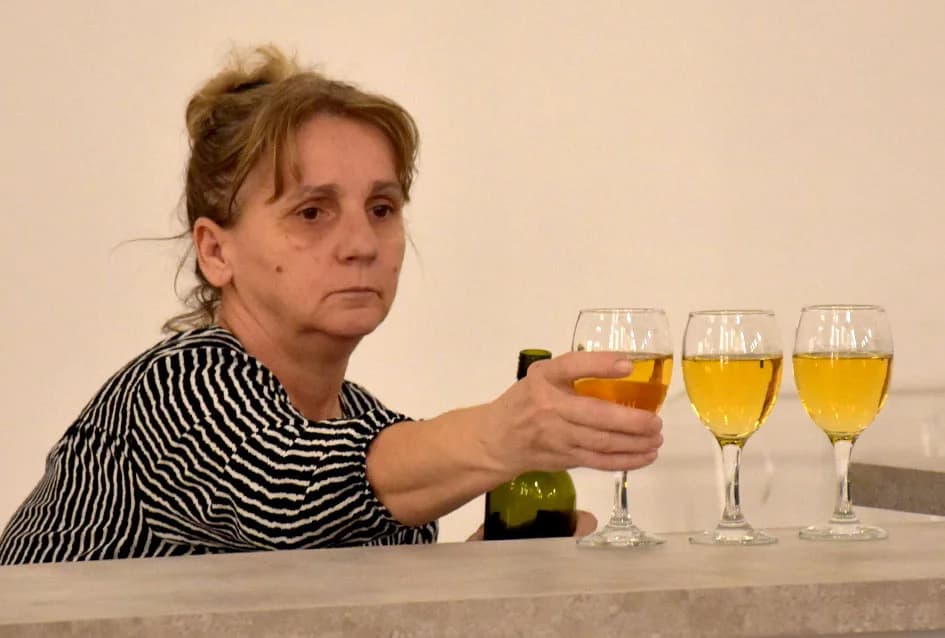 ZANIMLJIVA IZLOŽBA: Strip reklame pred Požežanima s osvrtom na legendarni ovdašnji magazin Patak