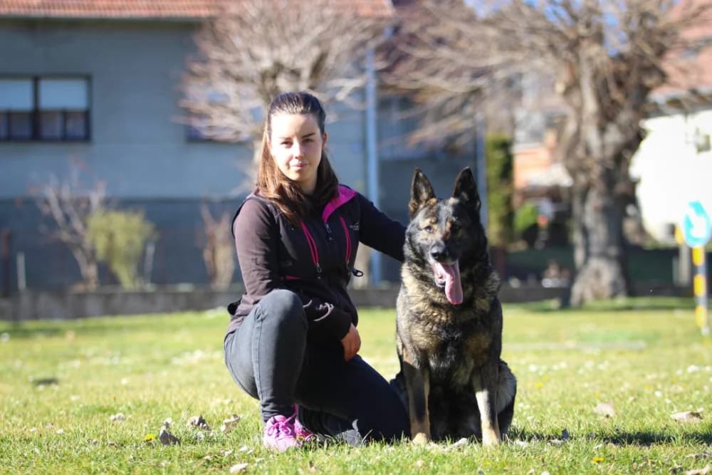 Priča o Sandri Križanović iz Kutjeva: Dresura pasa s ljubavlju i stručnošću .