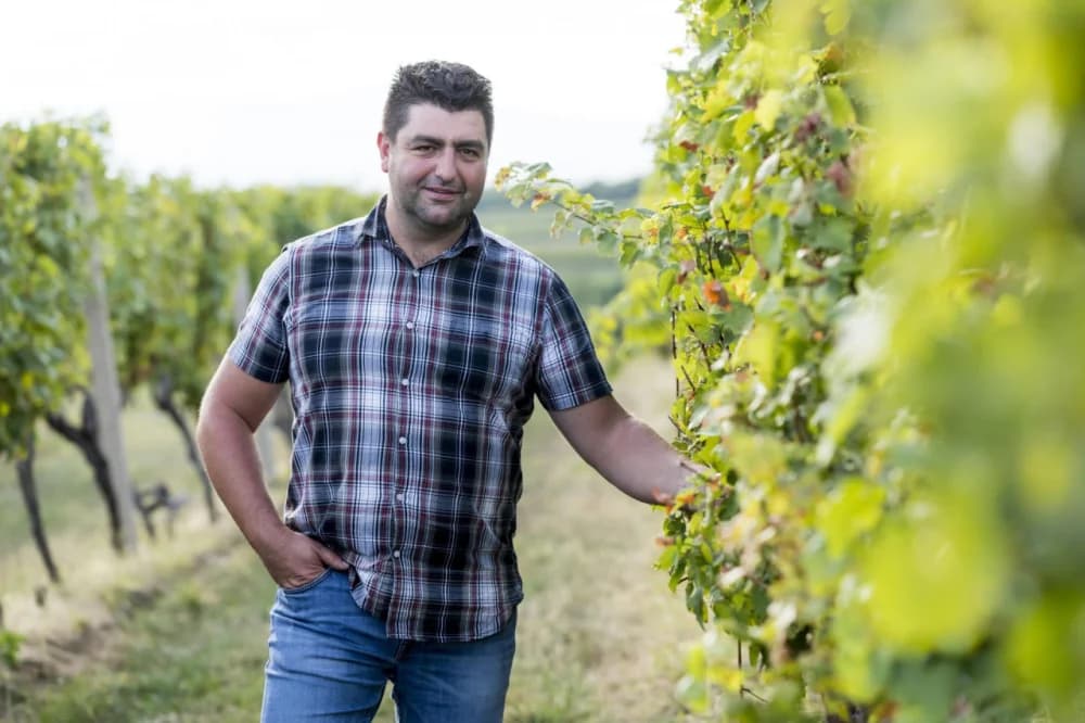 Kutjevački Rosé premium 2023 premijerno otvorio glavnni enolog Ivan Marinclin
