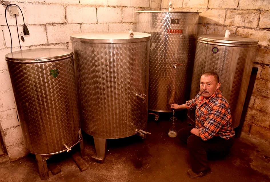 POŽEŠKI VINOGARADAR BRANKO SMOLIĆ: Proizvodi vrhunsku graševinu sa položaja 360 metara nadmorske visine