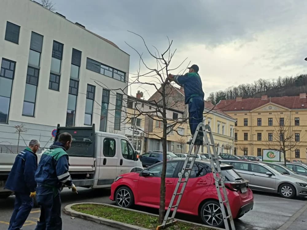 Orezivanje drveća