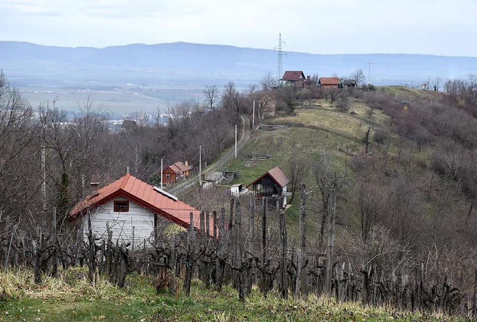 NA SOKOLOVCU SE PRIPREMAJU ZA PROSLAVU GRGUREVA: Spremno će dočekati goste