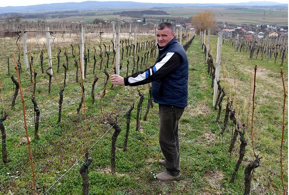 KUTJEVAČKI VINAR I PODRUMAR MILAN ŠTIMAC: Dušu krijepi vlastitom graševinom