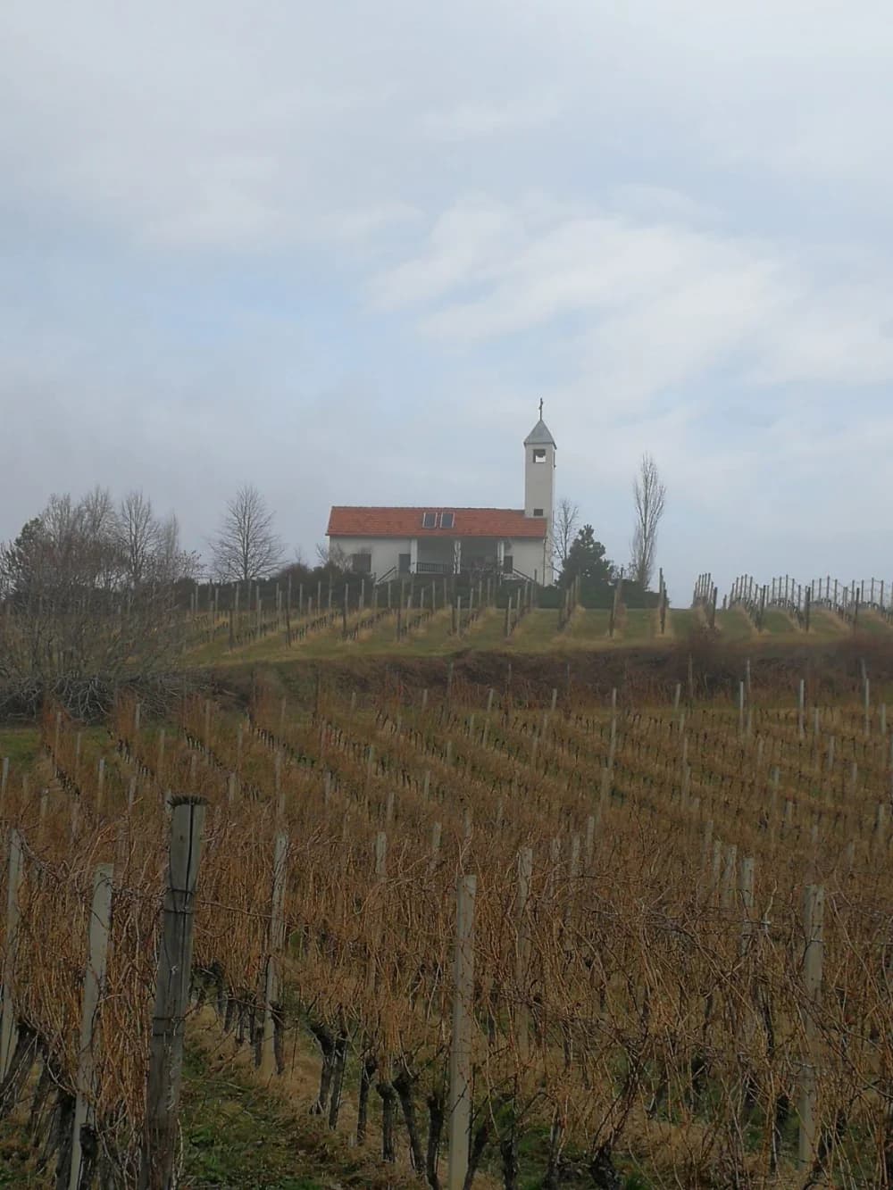 POHOD PO OKOLINI: Požeškom gorom od Pleternice do Požege išli su planinari požeškog Sokolovca