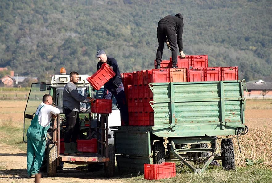VINOGRADARSTVO I PODRUMARSTVO KRAUTHAKER IZ KUTJEVA: Razvili vlastiti model kooperacije