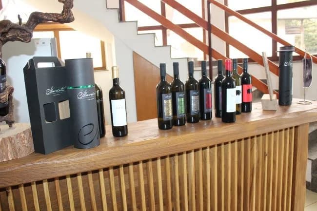Markota vino klikun u velikom stilu vratilo se sa zlatnom medaljom koju je dobilo na prestižnom festivalu „Mundus vini“