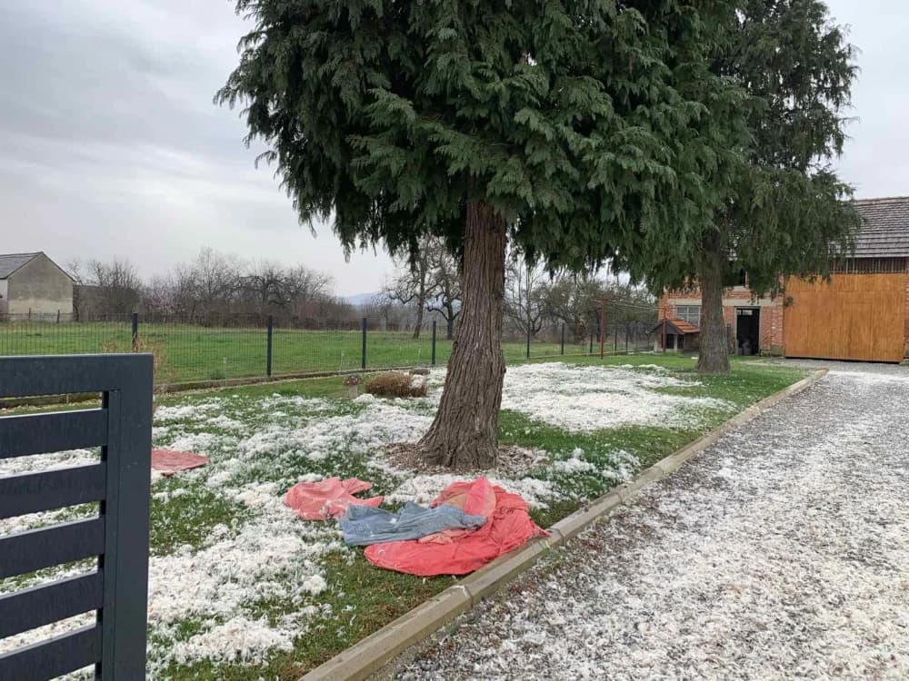 VESELJE U KRIVAJU: Uz dvorište pokriveno perjem Kelečići rođenje unuka Lovre proslavili okupljanjem rodbine i prijatelja!