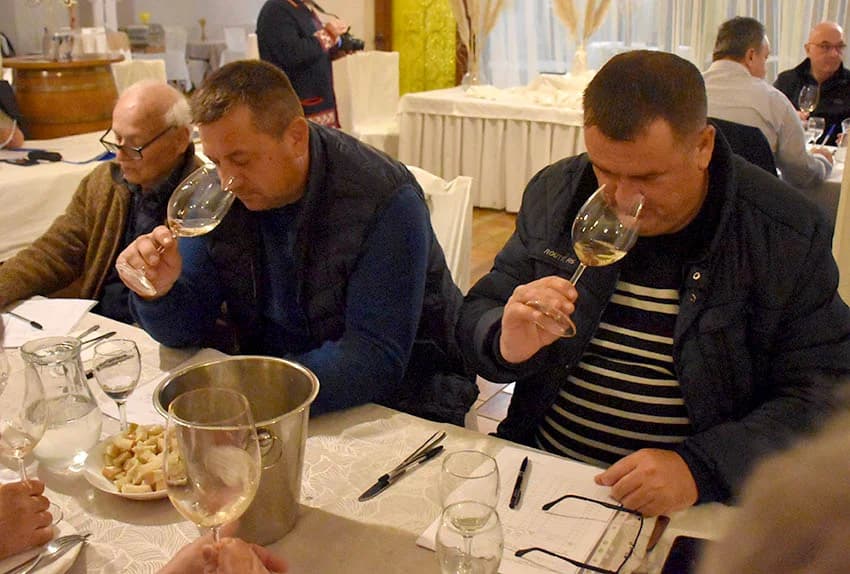 I u najtežim uvjetima iz Graševine izvlače najbolje