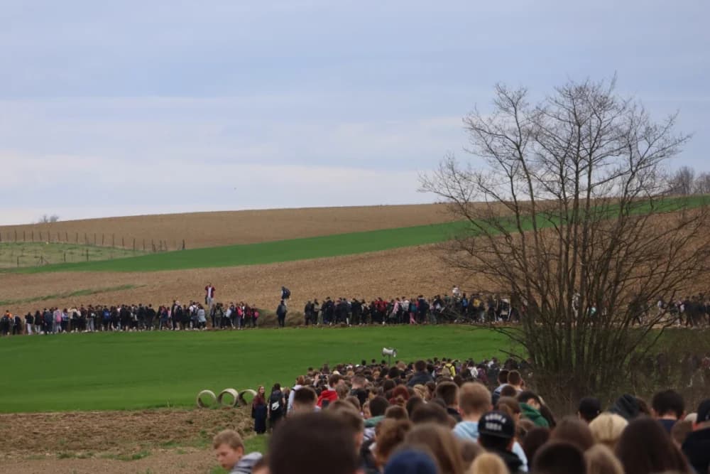 Križni