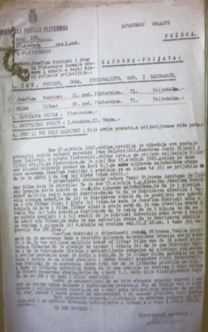 DANI MATICE HRVATSKE U POŽEGI Novinarka Nada Prkačin održala predavanje „Pleternica 1941.-1945.-dokumenti“