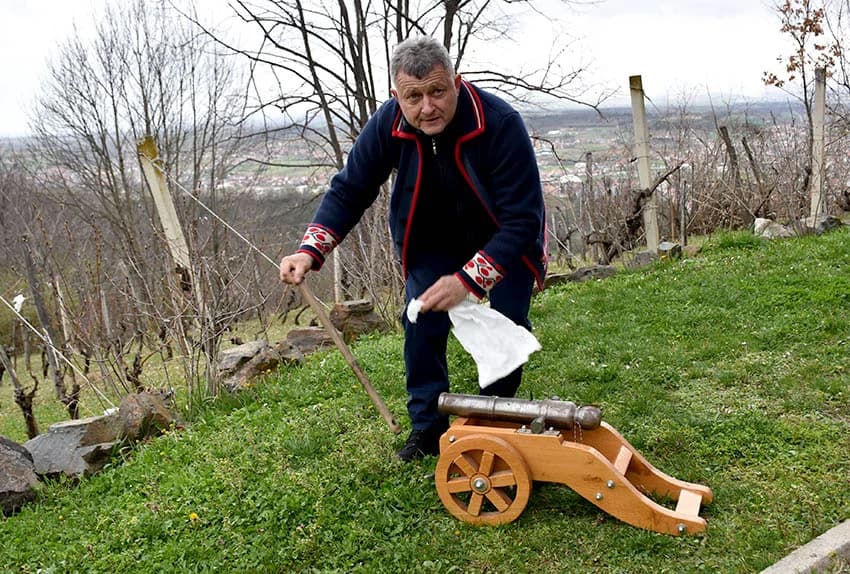 POŽEŠKI VINOGRADARI SLAVILI GRGUREVO: Uz pjesmu, obilje hrane i dobru graševinu fešte do jutarnjih sati
