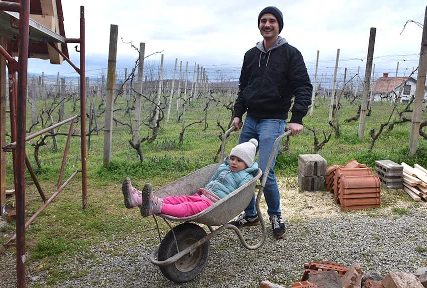 POŽEŠKI VINOGRADARI SLAVILI GRGUREVO: Uz pjesmu, obilje hrane i dobru graševinu fešte do jutarnjih sati