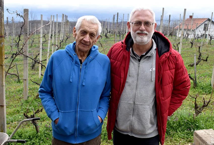 POŽEŠKI VINOGRADARI SLAVILI GRGUREVO: Uz pjesmu, obilje hrane i dobru graševinu fešte do jutarnjih sati
