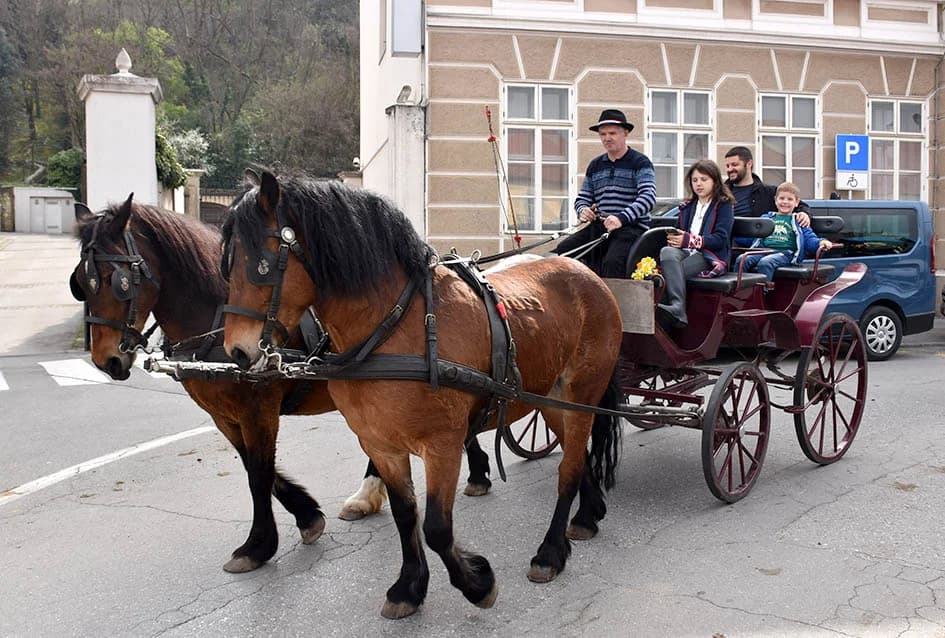 Mirisi slasnih delicija iz Dalmacije, Like, Istre, Primorja, Središnje Hrvatske i Slavonije ʼokupiraliʼ središte Požege