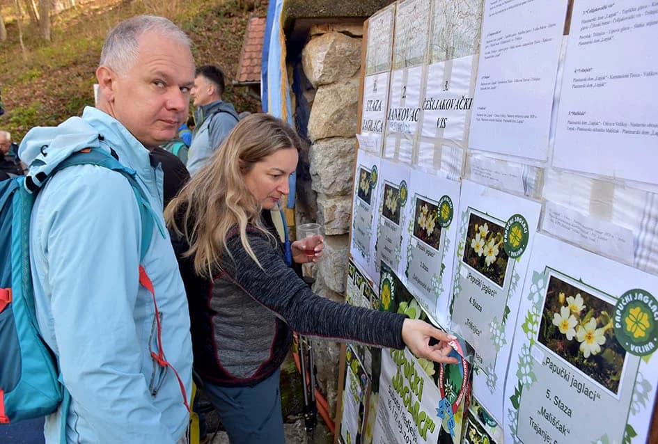 PAPUČKI JAGLACI 2024.: Brojni planinari iz pet država pohodili šest staza slavonske planine