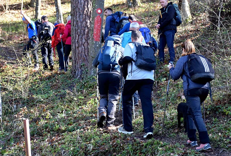 PAPUČKI JAGLACI 2024.: Brojni planinari iz pet država pohodili šest staza slavonske planine