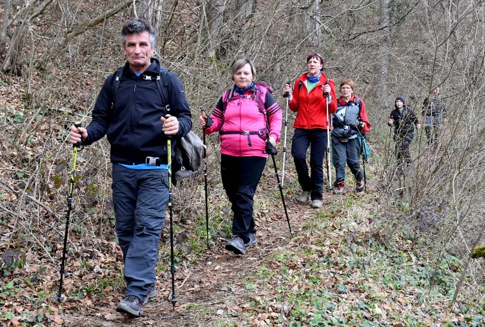 PAPUČKI JAGLACI 2024.: Brojni planinari iz pet država pohodili šest staza slavonske planine