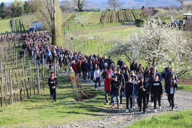 TRADICIONALNI PLETERNIČKI KRIŽNI PUT: Velik broj vjernika u hodu od župne crkve do kapelice sv. Petra