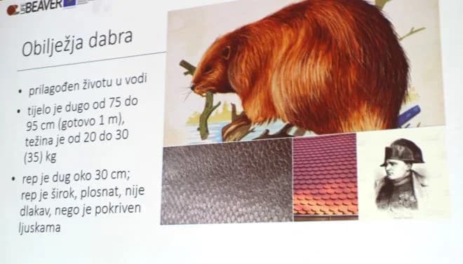 U Zlatnom lugu održana radionica „Suživot s dabrom“
