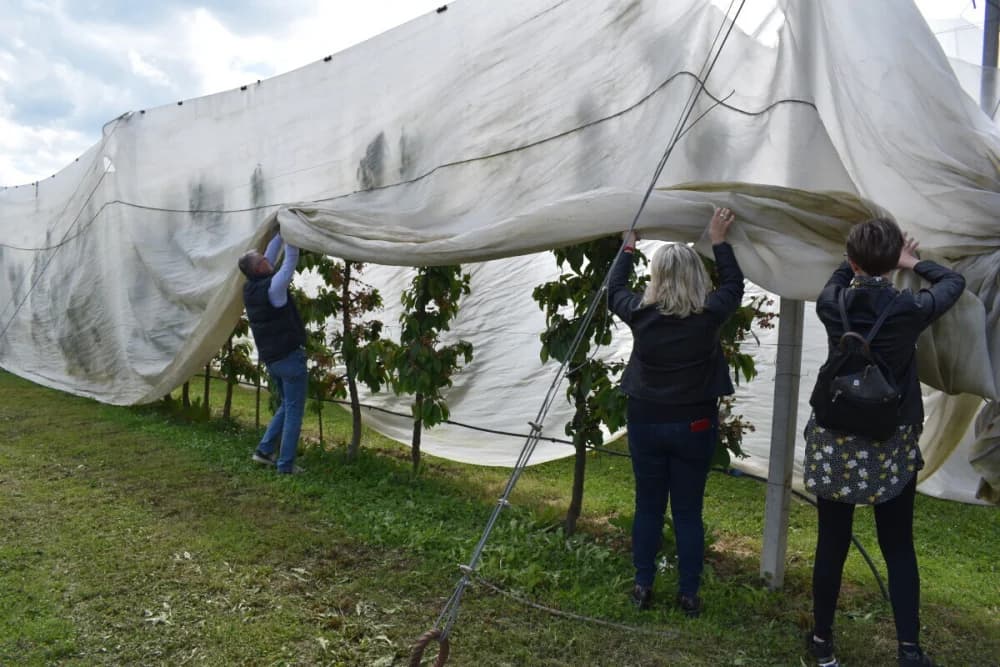 Imaju reprezentativan voćnjak, mehanizaciju i navodnjavanje, a nedostaje im samo jedno - učenici