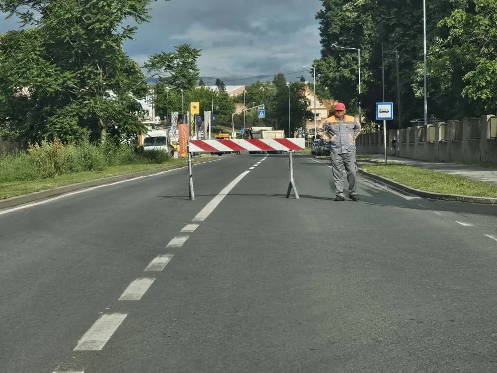 Zbog dotrajalosti srušena stabala kanadske topole uz Državnu cestu u Osječkoj ulici (FOTO-VIDEO)