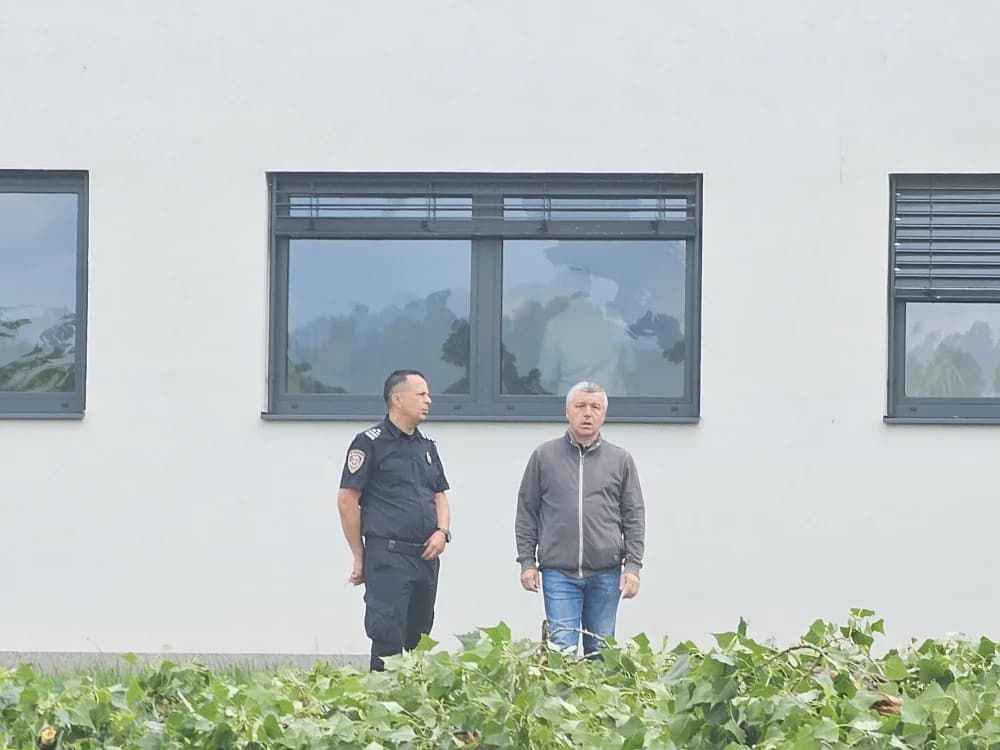 Zbog dotrajalosti srušena stabala kanadske topole uz Državnu cestu u Osječkoj ulici (FOTO-VIDEO)