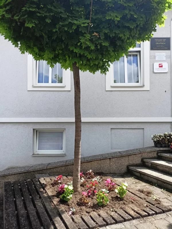 [FOTO] Započela sadnja cvijeća na gradskim zelenim površinama