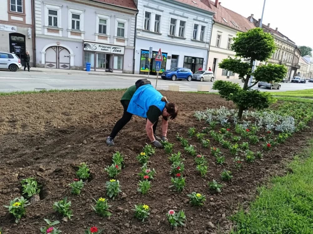 [FOTO] Započela sadnja cvijeća na gradskim zelenim površinama