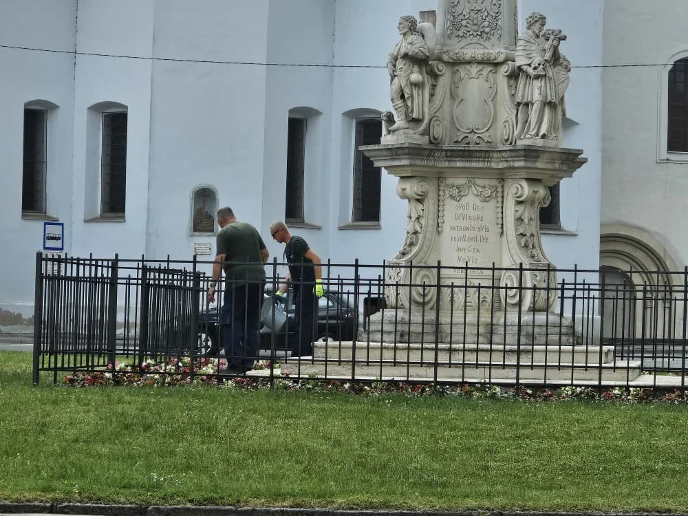 [FOTO] Započela sadnja cvijeća na gradskim zelenim površinama