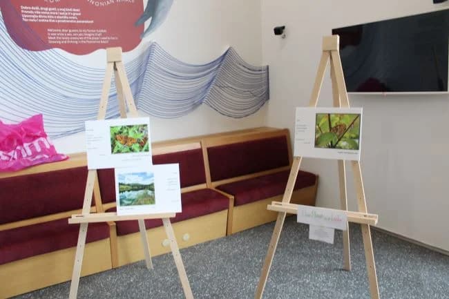 (FOTOGALERIJA) UZ DAN EUROPE: U Pleternici održana revija učeničkog stvaralaštva