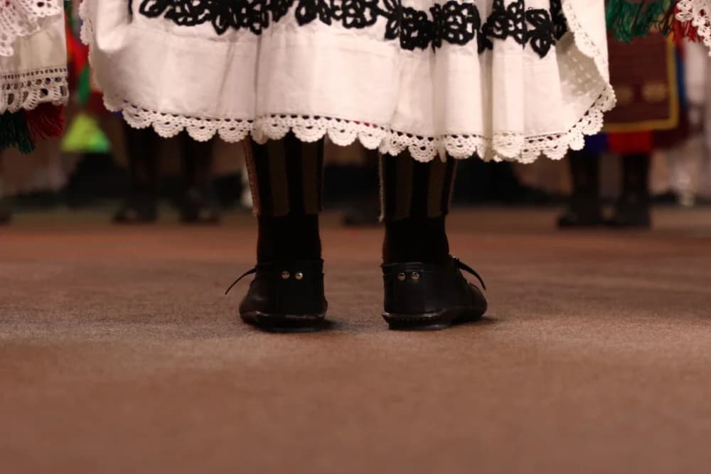 (FOTO-VIDEO) Pjesme, kola i običaji izvelo pet kulturno-umjetničkih društava iz dvije slavonske županije