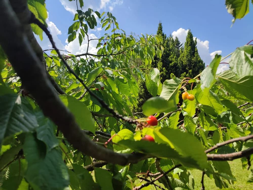 POHOD PO SUSJEDSTVU: Planinari Sokolovca posjetili Rupnicu i Arboretum Lisičine