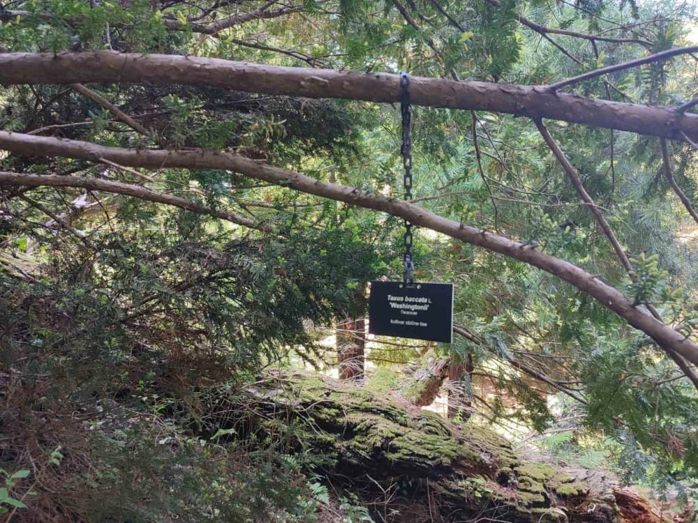 POHOD PO SUSJEDSTVU: Planinari Sokolovca posjetili Rupnicu i Arboretum Lisičine