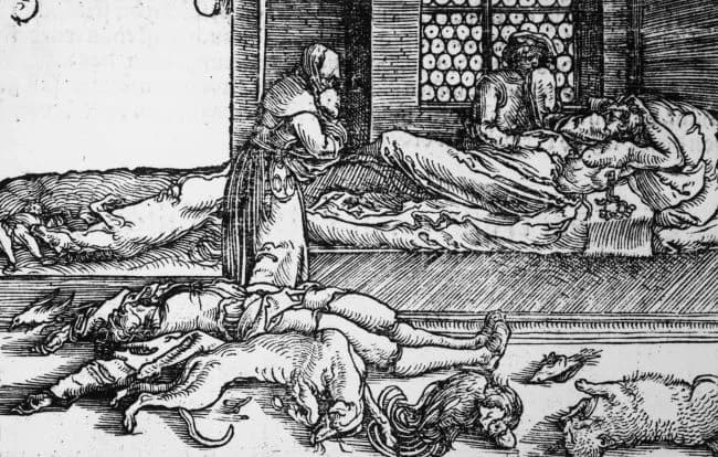 Epidemija kuge na današnji dan 1739. godine zahvatila Požegu i okolicu: Za sedam mjeseci umrlo tisuću ljudi