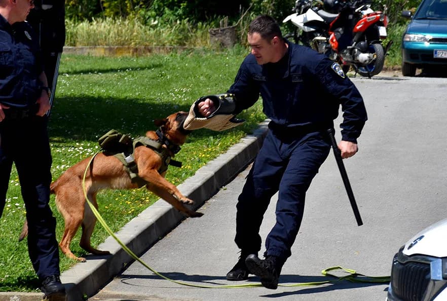 Kroz pokazne vježbe i prezentaciju opreme održan Dan otvorenih vrata policije